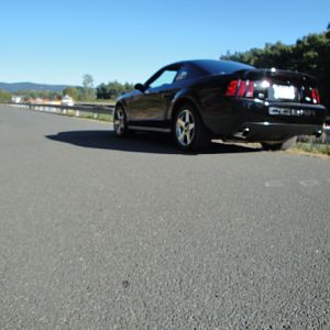 09.20.2009 C urtis Lumber Show NEW COBRA!!!!!!!!!!!! 249