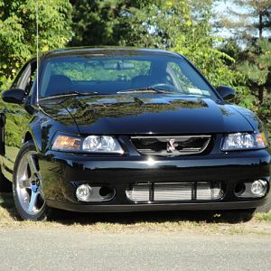 09.20.2009 C urtis Lumber Show NEW COBRA!!!!!!!!!!!! 263