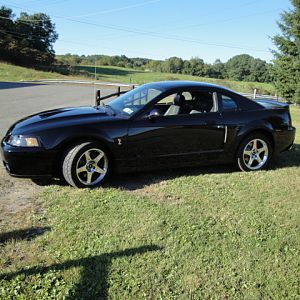 09.20.2009 C urtis Lumber Show NEW COBRA!!!!!!!!!!!! 264