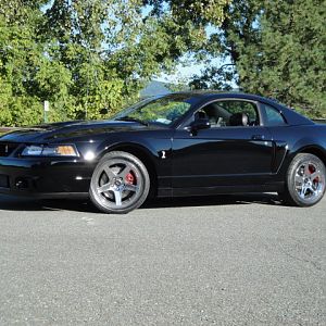 09.20.2009 C urtis Lumber Show NEW COBRA!!!!!!!!!!!! 266