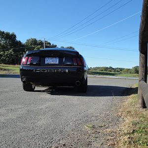 09.20.2009 C urtis Lumber Show NEW COBRA!!!!!!!!!!!! 269