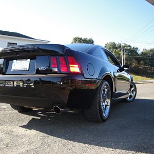 09.20.2009 C urtis Lumber Show NEW COBRA!!!!!!!!!!!! 270