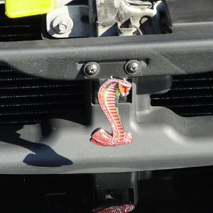 09.20.2009 C urtis Lumber Show NEW COBRA!!!!!!!!!!!! 038