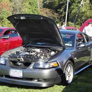 09.20.2009 C urtis Lumber Show NEW COBRA!!!!!!!!!!!! 026