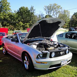 09.20.2009 C urtis Lumber Show NEW COBRA!!!!!!!!!!!! 028