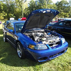 09.20.2009 C urtis Lumber Show NEW COBRA!!!!!!!!!!!! 040