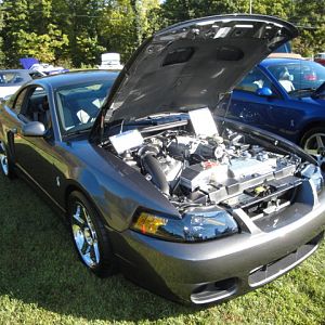 09.20.2009 C urtis Lumber Show NEW COBRA!!!!!!!!!!!! 041