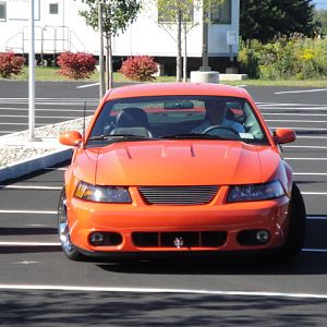 09.20.2009 C urtis Lumber Show NEW COBRA!!!!!!!!!!!! 157