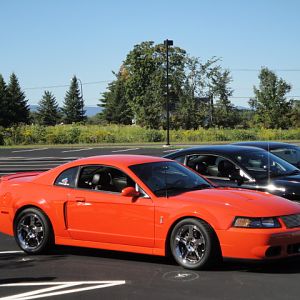 09.20.2009 C urtis Lumber Show NEW COBRA!!!!!!!!!!!! 158