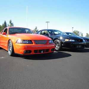 09.20.2009 C urtis Lumber Show NEW COBRA!!!!!!!!!!!! 159