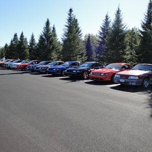 09.20.2009 C urtis Lumber Show NEW COBRA!!!!!!!!!!!! 186