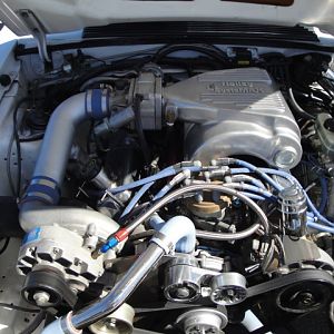 09.20.2009 C urtis Lumber Show NEW COBRA!!!!!!!!!!!! 107