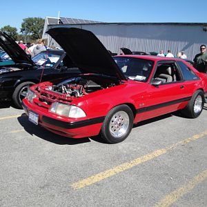 09.20.2009 C urtis Lumber Show NEW COBRA!!!!!!!!!!!! 114