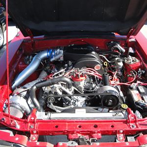 09.20.2009 C urtis Lumber Show NEW COBRA!!!!!!!!!!!! 115