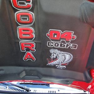 09.20.2009 C urtis Lumber Show NEW COBRA!!!!!!!!!!!! 135