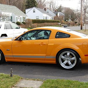 Shelby with new wheels 009