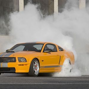 112 0804 14z+tuner mustangs+shelby GT c[1]