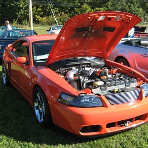 04 Orange Cobra