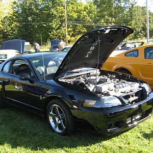 StrongStang50