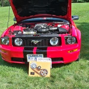 "BEST IN SHOW" 8:30:09