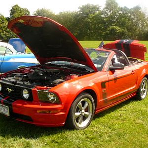 8:30:09 - BEST IN SHOW @ TRI-STATE SHOW MONTGOMERY, NY