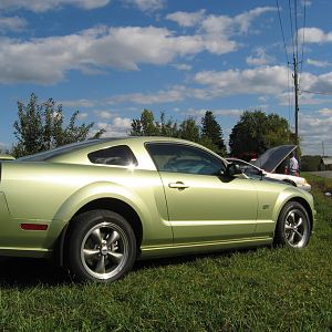 Apple Orchard cruise