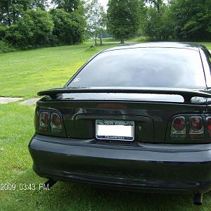 new euro smoked tails