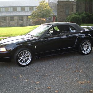 My 1999 Cobra 3