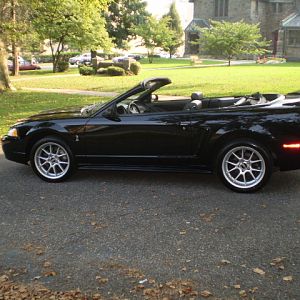 My 1999 Cobra 2