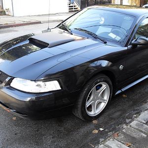 My V6 stang