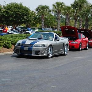 mustang week 09