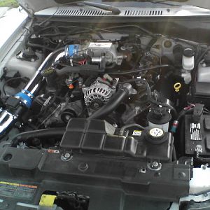 not much but hopefully next year will tell another story