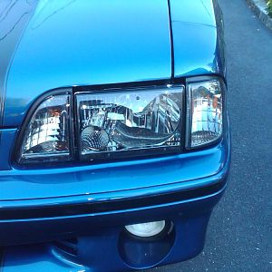 IMG00069 20091008 0849