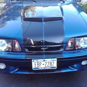 IMG00070 20091008 0850