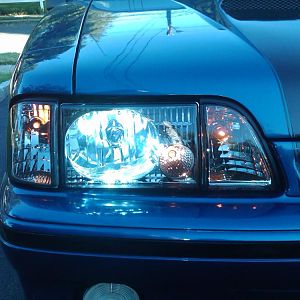 IMG00071 20091008 0851