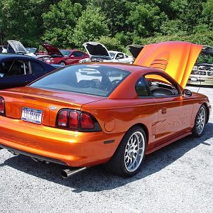 mustang 6