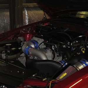 10.10.2009 Kyle's underhoot shot