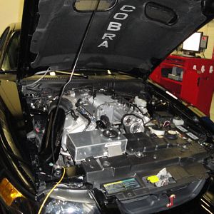 10.10.2009 underhood shot on Dyno