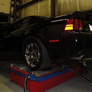 10.10.2009 Cobra on the Dyno