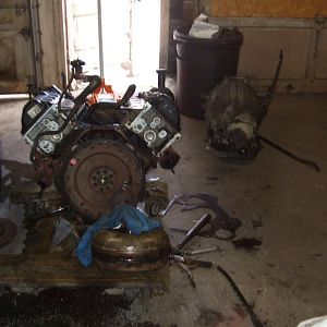 some one forgot to empty the fluids.......RICH.