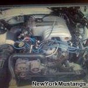 7beb870df9781e11e7c81b8ae57ad4d7 4583