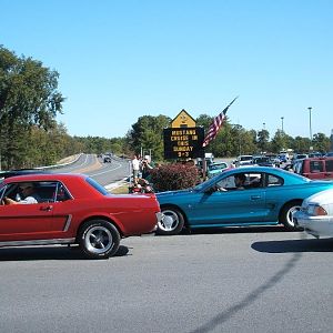 red, white, and...teal!