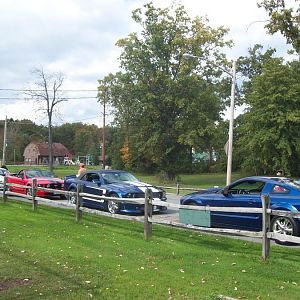 MCOC Volunteer BBQ (check out the Ponies)!