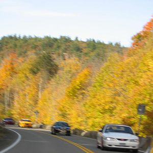 Cruisin up to Prospect Mtn