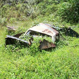 "Ran great when parked" Look closely,Yes that is a Mustang.