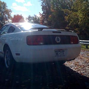 Gloss Black Rear Spoiler and Blackout Panel