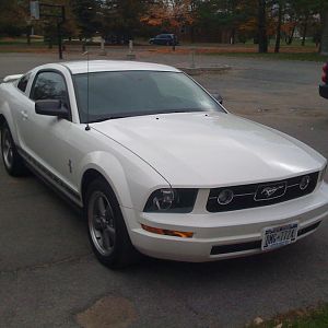 The day I brought her home... October 2008