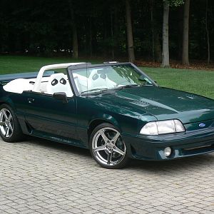 Mustang pics 001