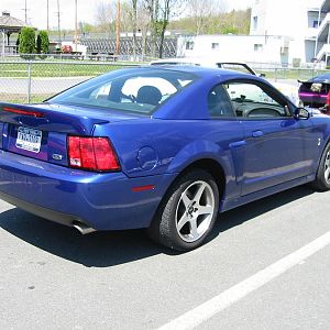 2003 cobra  weep weep weep