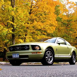 Thatcher Park - Fall 2009